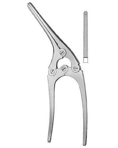 Intestinal and Pylorus Clamps