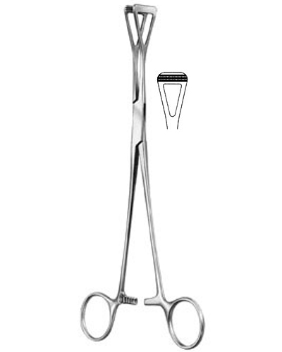 Organ Grasping Forceps