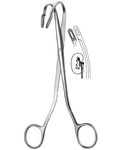 Kidney Stone Forceps