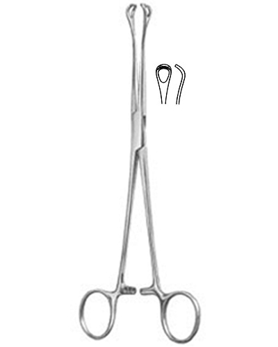 Gall Stone Forceps