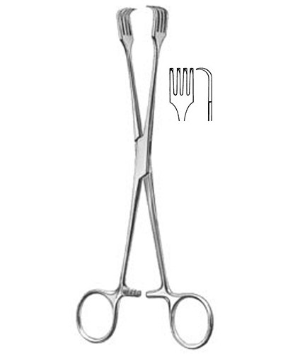 UteAIne Tenaculum Forceps