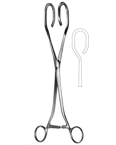 UteAIne Seizing Forceps
