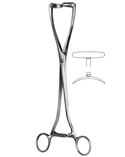 UteAIne Seizing Forceps