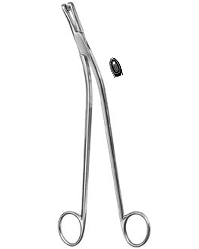 UteAIne Biopsy Forceps