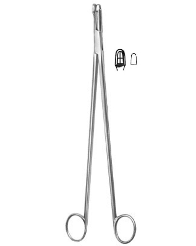 UteAIne Biopsy Forceps