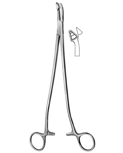 UteAIne Biopsy Forceps