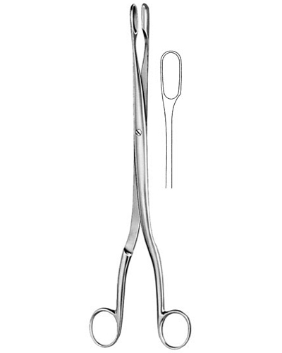 Placenta and Ovum Forceps