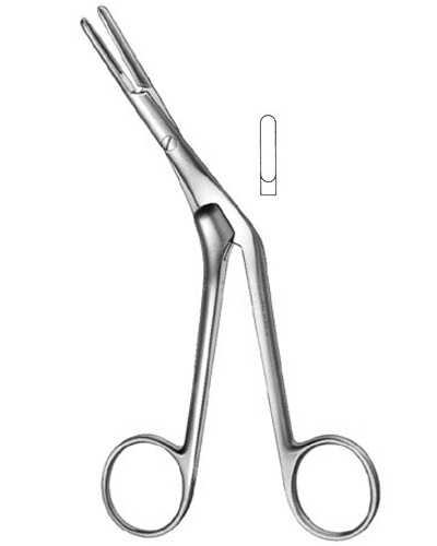 Septum Forceps