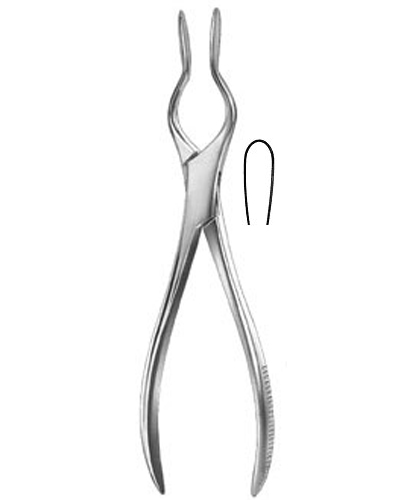 Septum Straightening Forceps
