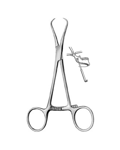 Bone Holding Forceps