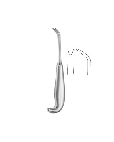 AnteAIor Border StAIpper