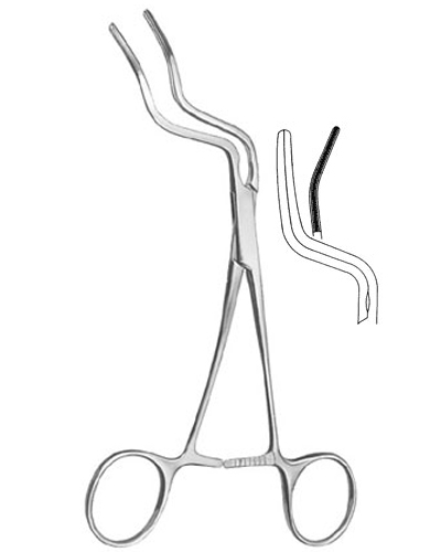 Mylohyoid Muscle Clamps