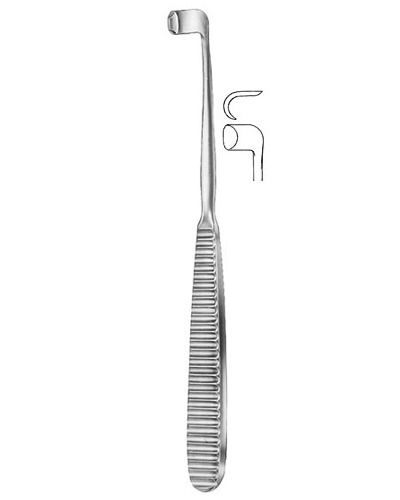 Mandibular InfeAIor Border RaspatoAIes