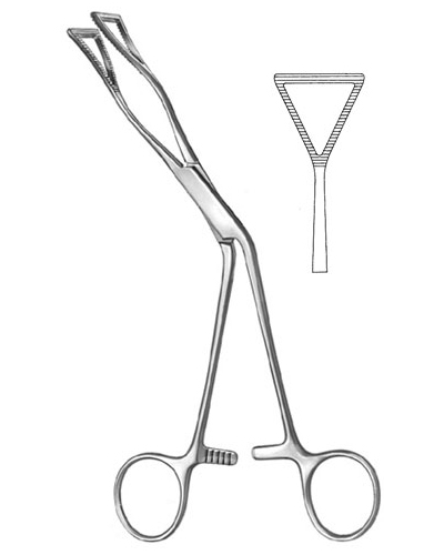 Lung Grasping Forceps