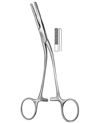 Bone Holding Forceps
