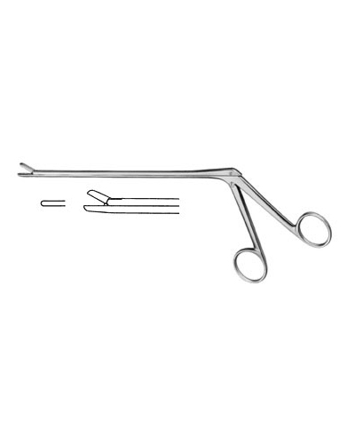 Laminectomy Rongeurs