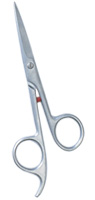 Barber Scissor