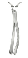 Extracting Forceps American pattern