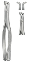 Extracting Forceps American pattern