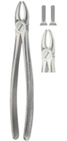 Extracting Forceps American pattern