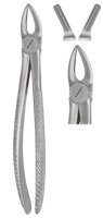 Extracting Forceps American pattern